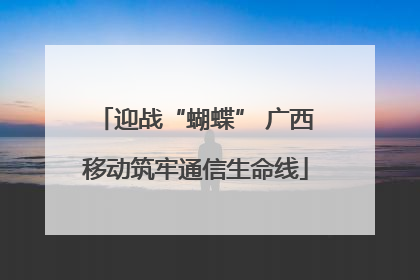 迎战“蝴蝶” 广西移动筑牢通信生命线