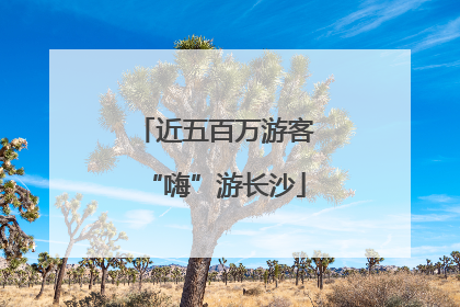近五百万游客“嗨”游长沙