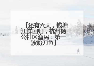 还有六天，钱塘江鲜回归，杭州杨公社区渔民：第一波盼刀鱼