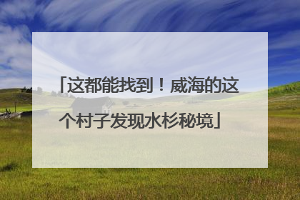 这都能找到！威海的这个村子发现水杉秘境