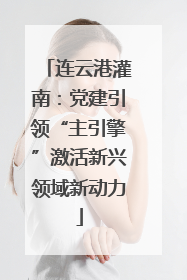 连云港灌南：党建引领“主引擎”激活新兴领域新动力