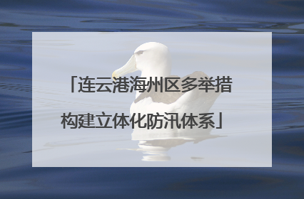 连云港海州区多举措构建立体化防汛体系