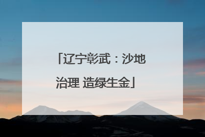 辽宁彰武：沙地治理 造绿生金