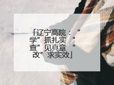 辽宁高院：“学”抓扎实 “查”见真章 “改”求实效