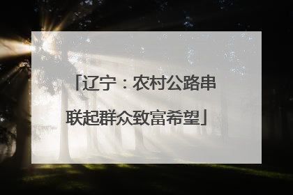 辽宁：农村公路串联起群众致富希望