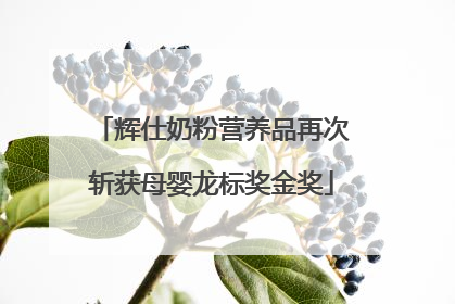 辉仕奶粉营养品再次斩获母婴龙标奖金奖