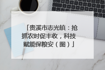 贵溪市志光镇：抢抓农时促丰收，科技赋能保粮安（图）