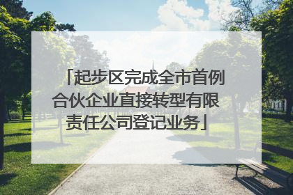起步区完成全市首例合伙企业直接转型有限责任公司登记业务