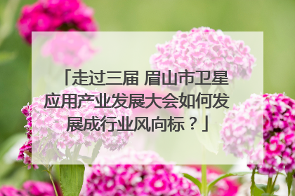 走过三届 眉山市卫星应用产业发展大会如何发展成行业风向标？