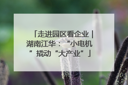 走进园区看企业｜湖南江华：“小电机”撬动“大产业”