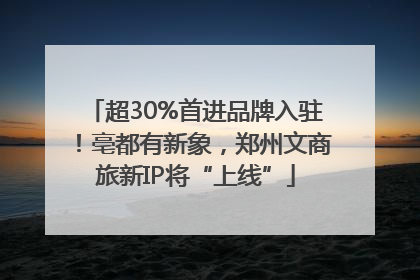 超30%首进品牌入驻！亳都有新象，郑州文商旅新IP将“上线”
