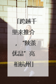 跨越千里来推介，“陕茶优品”亮相杭州
