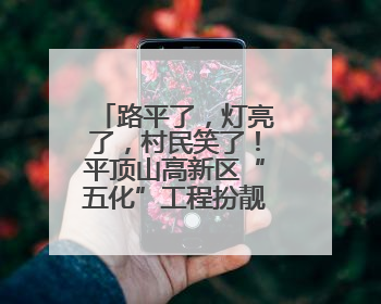 路平了，灯亮了，村民笑了！平顶山高新区“五化”工程扮靓乡村