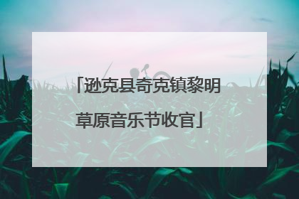 逊克县奇克镇黎明草原音乐节收官