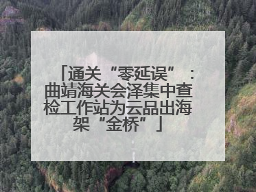 通关“零延误”：曲靖海关会泽集中查检工作站为云品出海架“金桥”