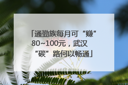通勤族每月可“赚”80~100元，武汉“碳”路何以畅通
