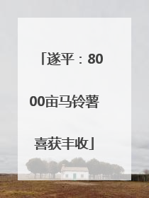 遂平：8000亩马铃薯喜获丰收