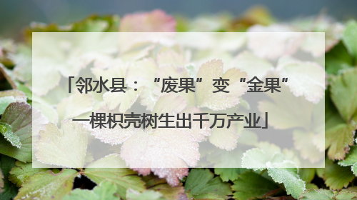 邻水县：“废果”变“金果” 一棵枳壳树生出千万产业