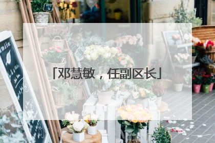 邓慧敏，任副区长
