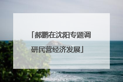 郝鹏在沈阳专题调研民营经济发展