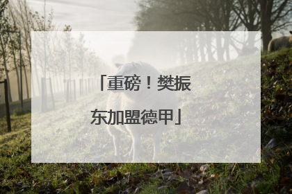 重磅！樊振东加盟德甲