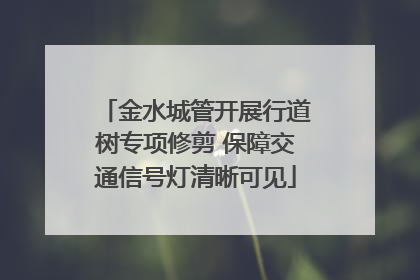 金水城管开展行道树专项修剪 保障交通信号灯清晰可见