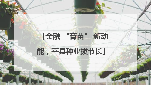 金融 “育苗” 新动能，莘县种业拔节长