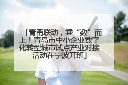 青甬联动，乘“数”而上！青岛市中小企业数字化转型城市试点产业对接活动在宁波开班