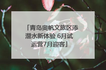 青岛奥帆文旅区添潜水新体验 6月试运营7月迎客