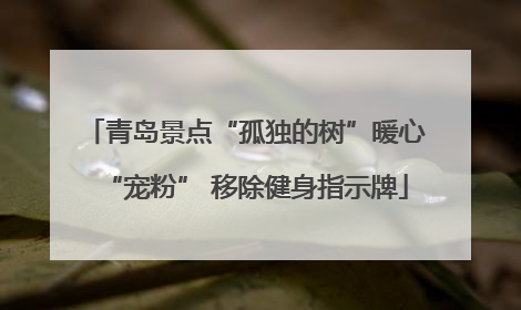 青岛景点“孤独的树”暖心“宠粉” 移除健身指示牌