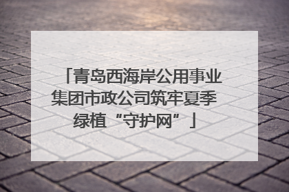 青岛西海岸公用事业集团市政公司筑牢夏季绿植“守护网”