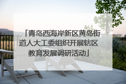 青岛西海岸新区黄岛街道人大工委组织开展辖区教育发展调研活动