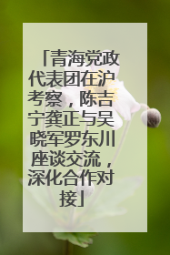 青海党政代表团在沪考察，陈吉宁龚正与吴晓军罗东川座谈交流，深化合作对接