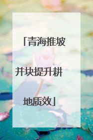 青海推坡并块提升耕地质效