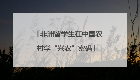 非洲留学生在中国农村学“兴农”密码