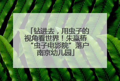 钻进去，用虫子的视角看世界！朱赢椿“虫子电影院”落户南京幼儿园