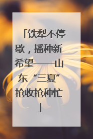 铁犁不停歇，播种新希望——山东“三夏”抢收抢种忙
