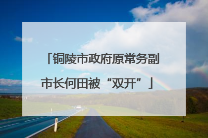 铜陵市政府原常务副市长何田被“双开”
