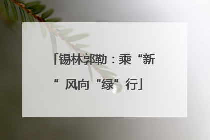 锡林郭勒：乘“新”风向“绿”行