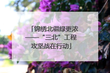 锦绣北疆绿更浓——“三北”工程攻坚战在行动