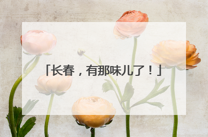 长春，有那味儿了！