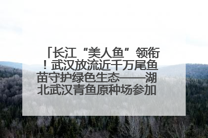 长江“美人鱼”领衔！武汉放流近千万尾鱼苗守护绿色生态——湖北武汉青鱼原种场参加2025年“全国放鱼日”增殖放流活动
