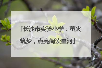 长沙市实验小学：萤火筑梦，点亮阅读星河