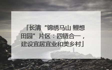 长清“锦绣马山 鲤想田园”片区：四链合一，建设宜居宜业和美乡村