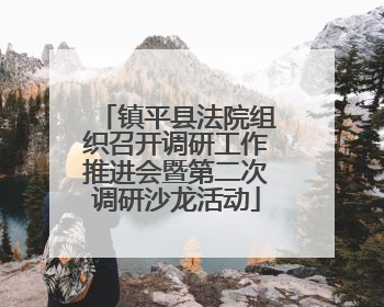镇平县法院组织召开调研工作推进会暨第二次调研沙龙活动