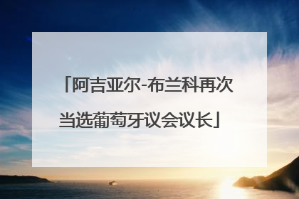 阿吉亚尔-布兰科再次当选葡萄牙议会议长
