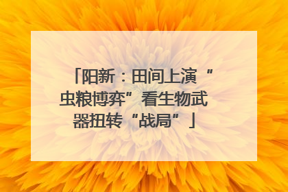 阳新：田间上演“虫粮博弈”看生物武器扭转“战局”