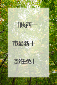 陕西一市最新干部任免