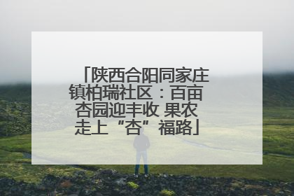 陕西合阳同家庄镇柏瑞社区：百亩杏园迎丰收 果农走上“杏”福路