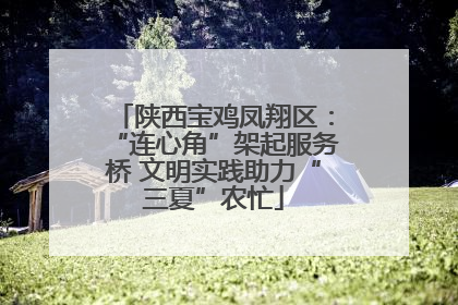 陕西宝鸡凤翔区：“连心角”架起服务桥 文明实践助力“三夏”农忙